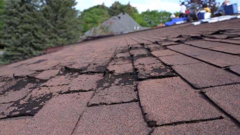 Fast & Reliable Emergency Roof Repairs in Indian Mountain Lake, PA